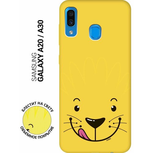  - Silky Touch  Samsung Galaxy A20, A30   Minimalistic Lion 