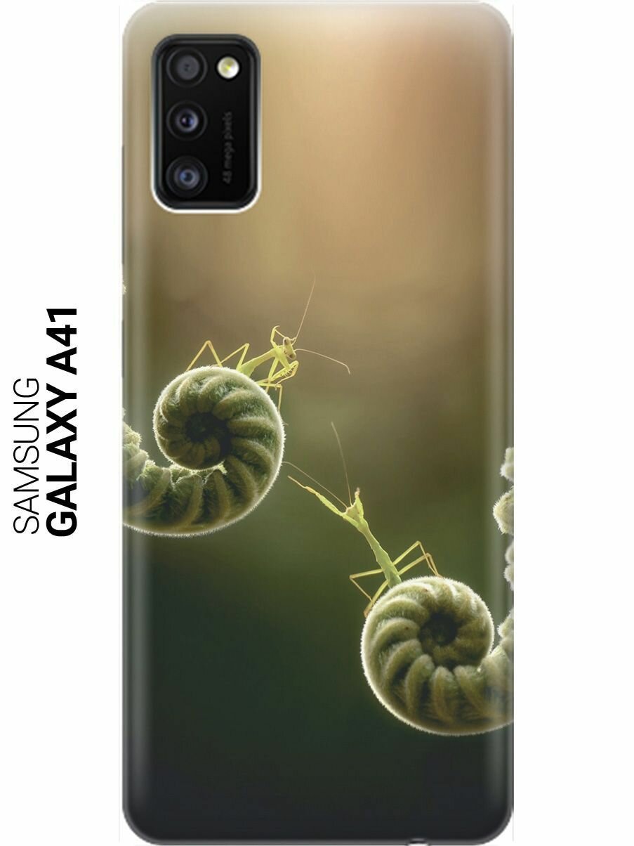 Ультратонкий силиконовый чехол-накладка для Samsung Galaxy A41 с принтом "Пара богомолов"