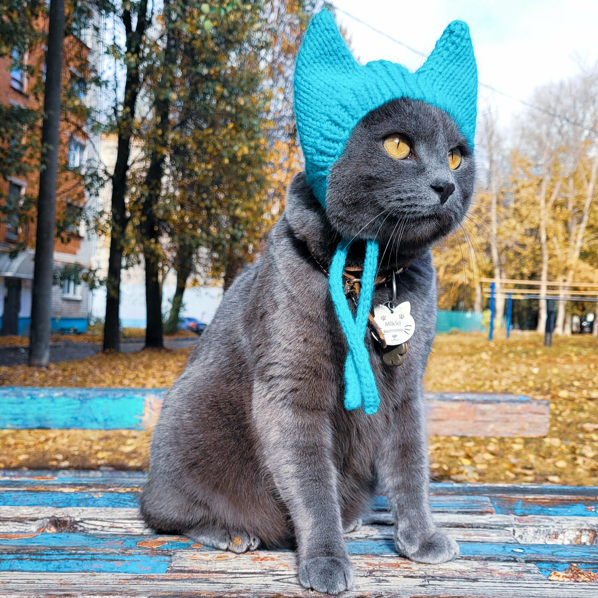 Шапка для кошек и собак "Ушки" цвет: Голубой - фотография № 4