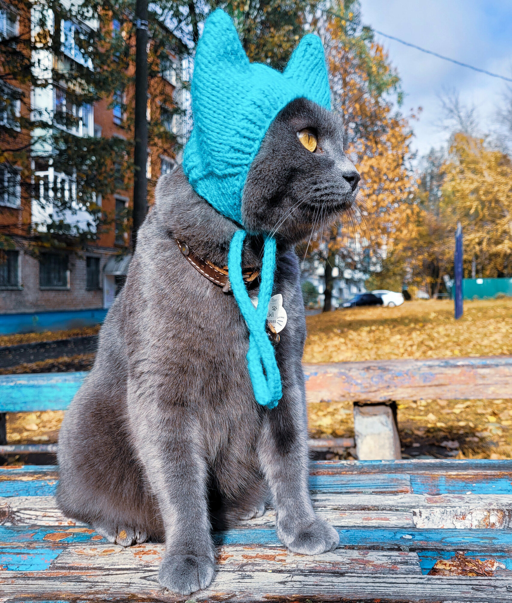 Шапка для кошек и собак "Ушки" цвет: Св. азалия - фотография № 5