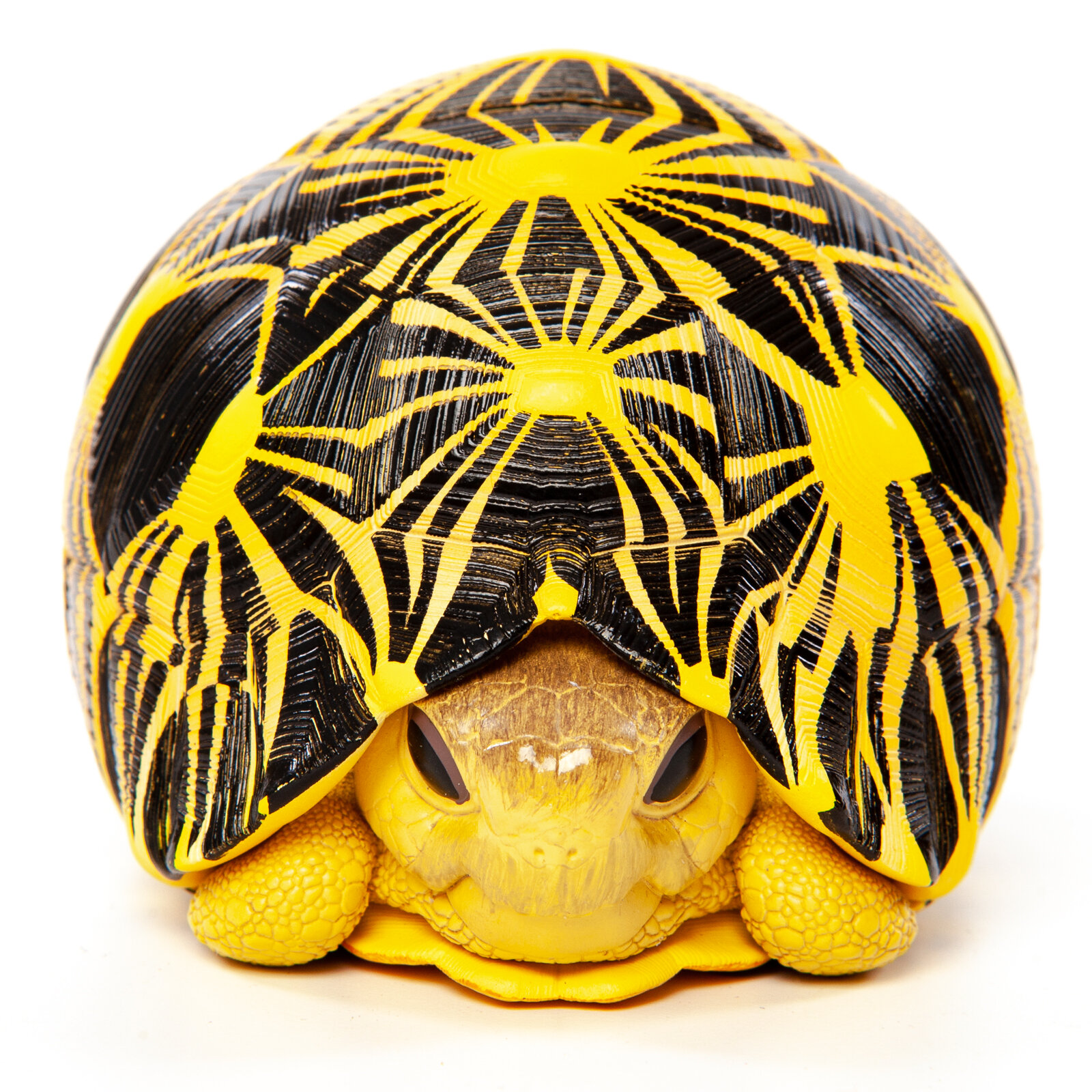 EXOPRIMA Фигурка лучевой черепахи, чёрно-жёлтая EXOPRIMA фигурки - фото №3