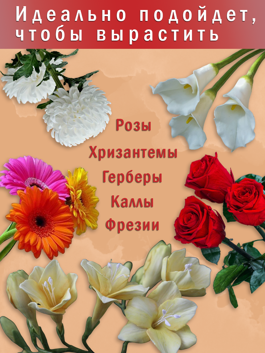 Земля для роз, хризантем, гербер, 2,5 л - фотография № 2