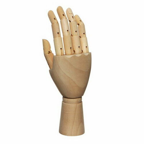 Модель деревянная Рука детская правая 18см 1081₽