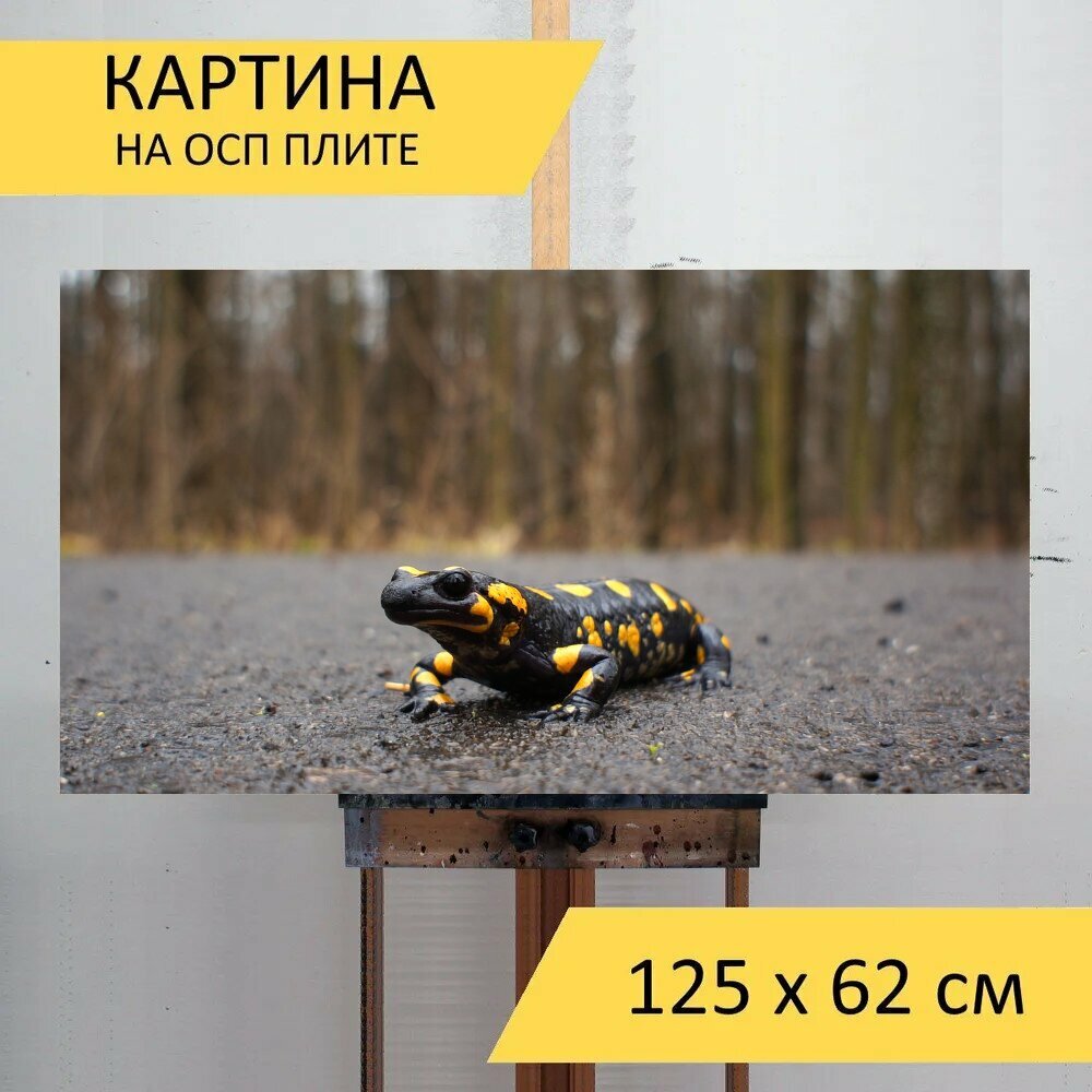 Картина на ОСП 125х62 см. "Природа, саламандра, огненная саламандра" горизонтальная, для интерьера, с креплениями