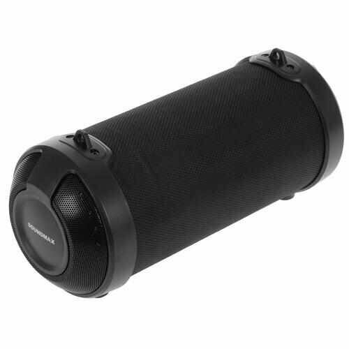Портативная колонка Soundmax SM-PS5025B черный 249000₽