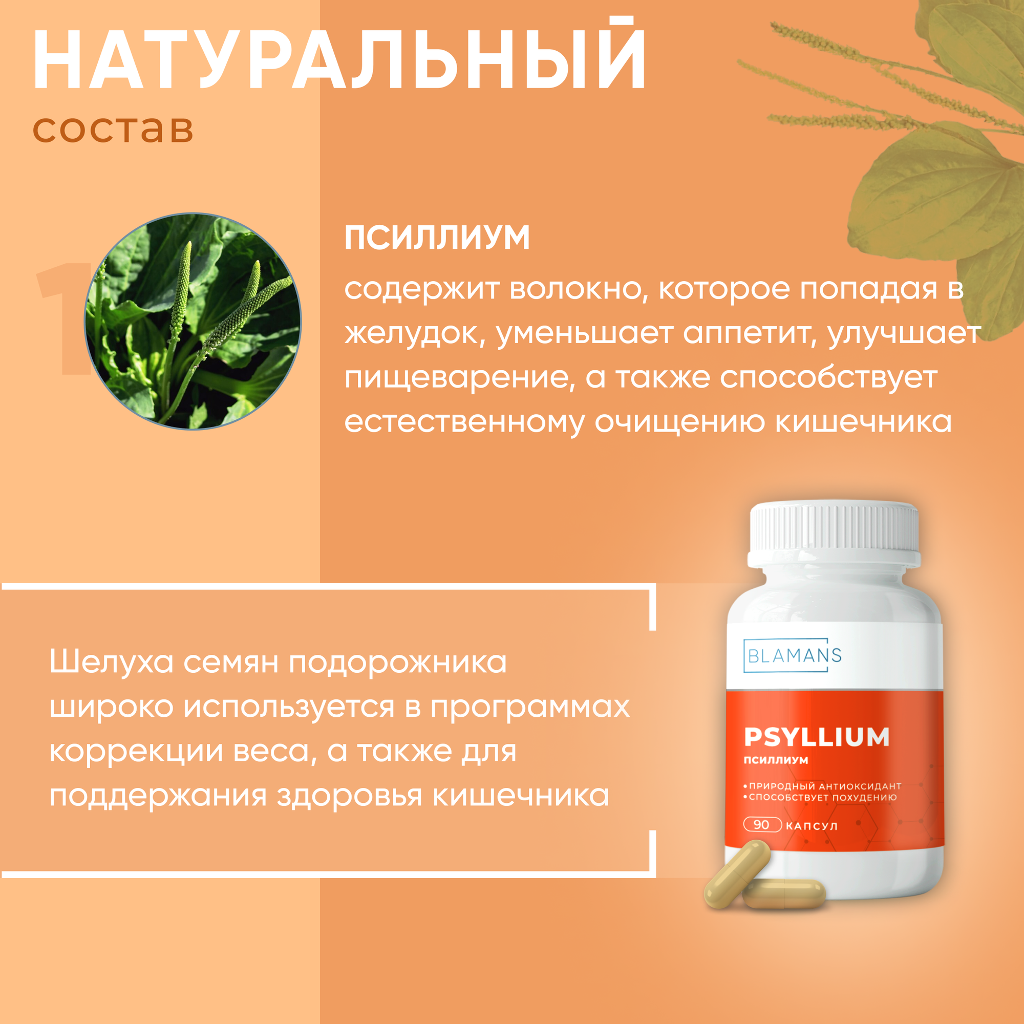 Псиллим для желудка 90 капсул / шелуха семян подорожника нормализация работы ЖКТ растворимые пищевые волокна — фото 1