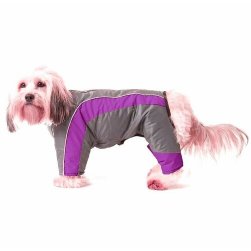 Dog Gone Smart Комбинезон зимний, размер 55 см, Long Sleeve, фиолетовый с серым (спинка 55 см, объем груди до 78 см)