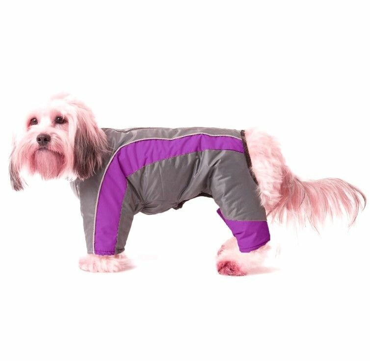 Dog Gone Smart Комбинезон зимний, размер 55 см, Long Sleeve, фиолетовый с серым (спинка 55 см, объем груди до 78 см)