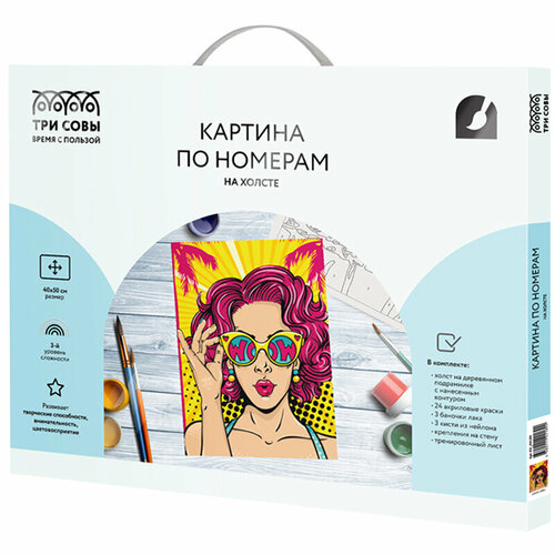 картина по номерам на холсте три совы wow girl 40x50 с акриловыми красками и кистями кх 44189 Картина по номерам на холсте Три Совы Wow. Girl, 40x50, с акриловыми красками и кистями (КХ_44189)