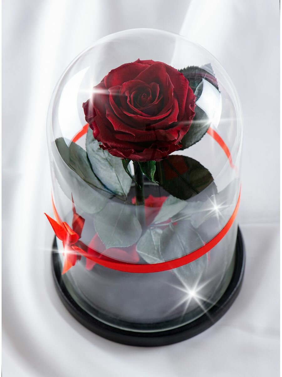 Живая Роза в колбе Therosedome Premium Mini 3-4 см стабилизированная, цветок в колбе, вечная роза, подарок, декор для интерьера, цвет: бордовый, красный