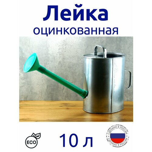 Лейка 10 л оцинкованная с рассеивателем