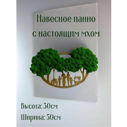 Панно стабилизированный мох для украшения интерьера дома