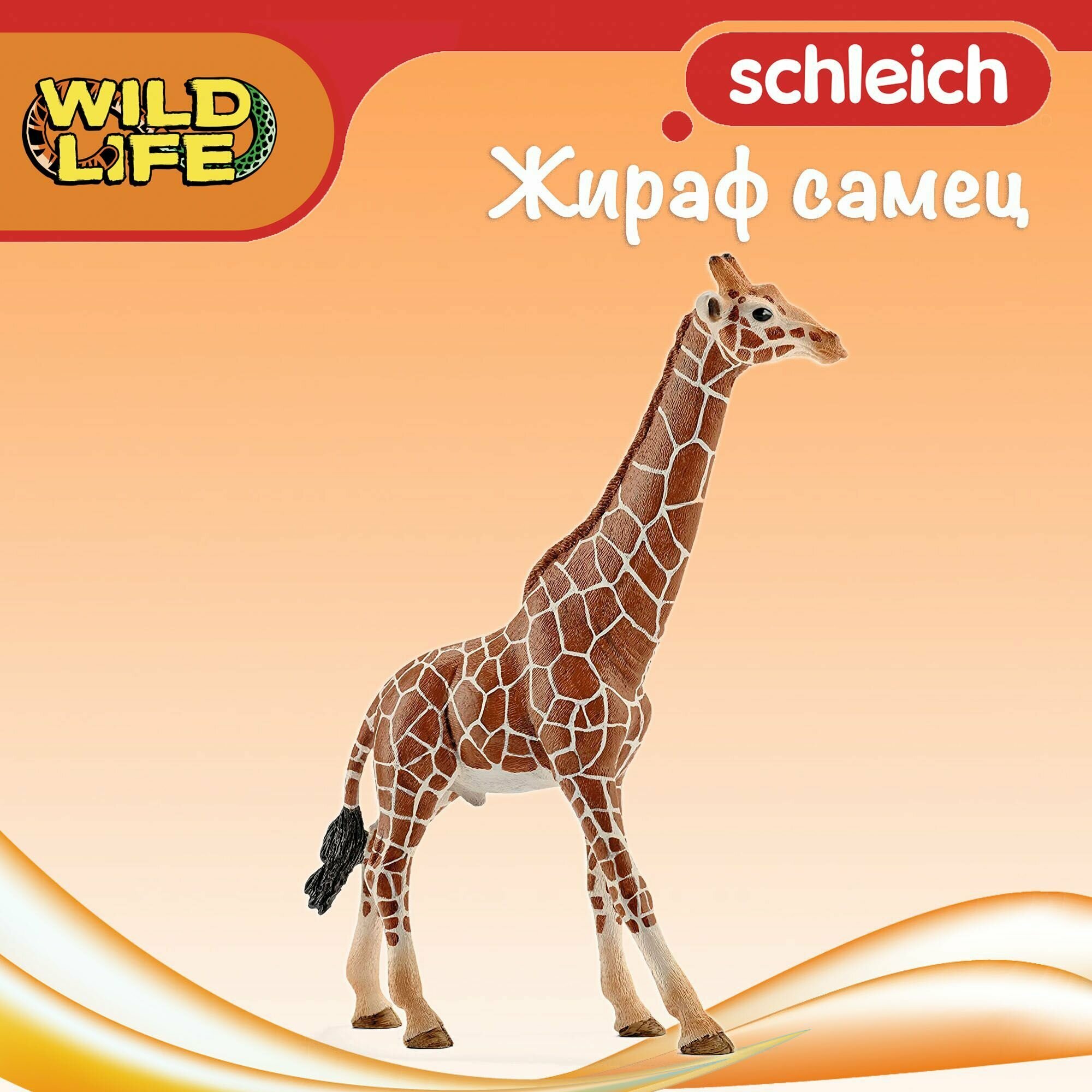 Фигурка "Жираф самец" Schleich Wild Life/ для детей от 3 лет/ Шляйх 14749