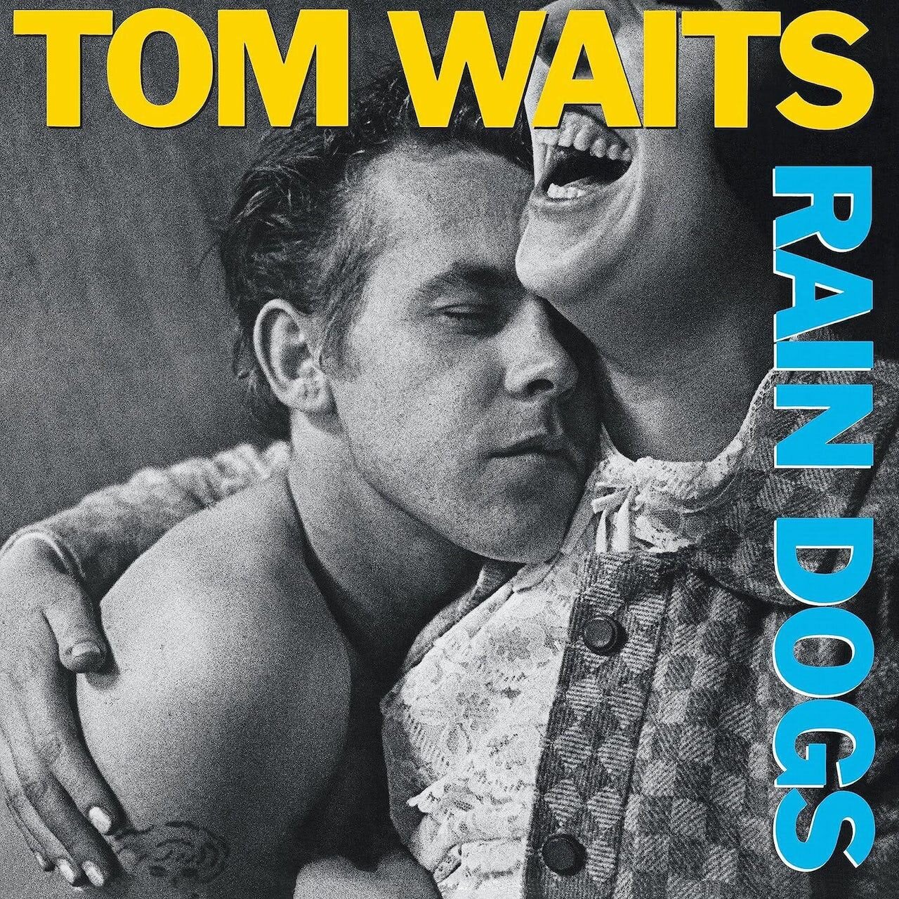 0602448898531, Виниловая пластинка Waits, Tom, Rain Dogs Universal Music - фото №1