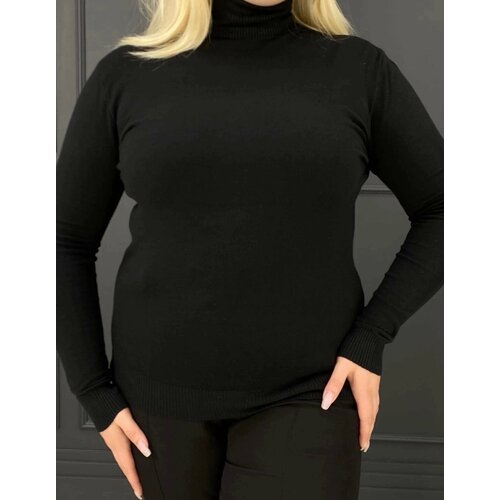 фото Водолазка, размер единый 50-56, черный successhome