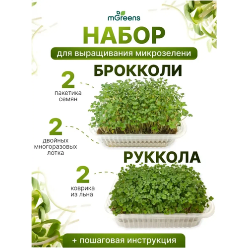 Home Market Green / Набор для выращивания микрозелени 