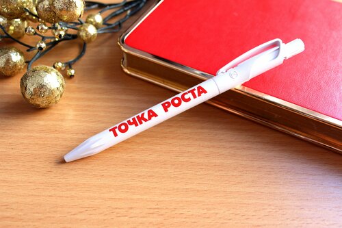 Ручка с логотипом 