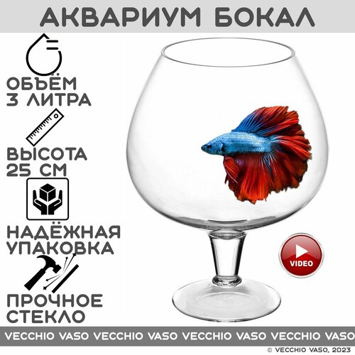 аквариум бокал 3 5л Аквариум для рыбок бокал 3 литра