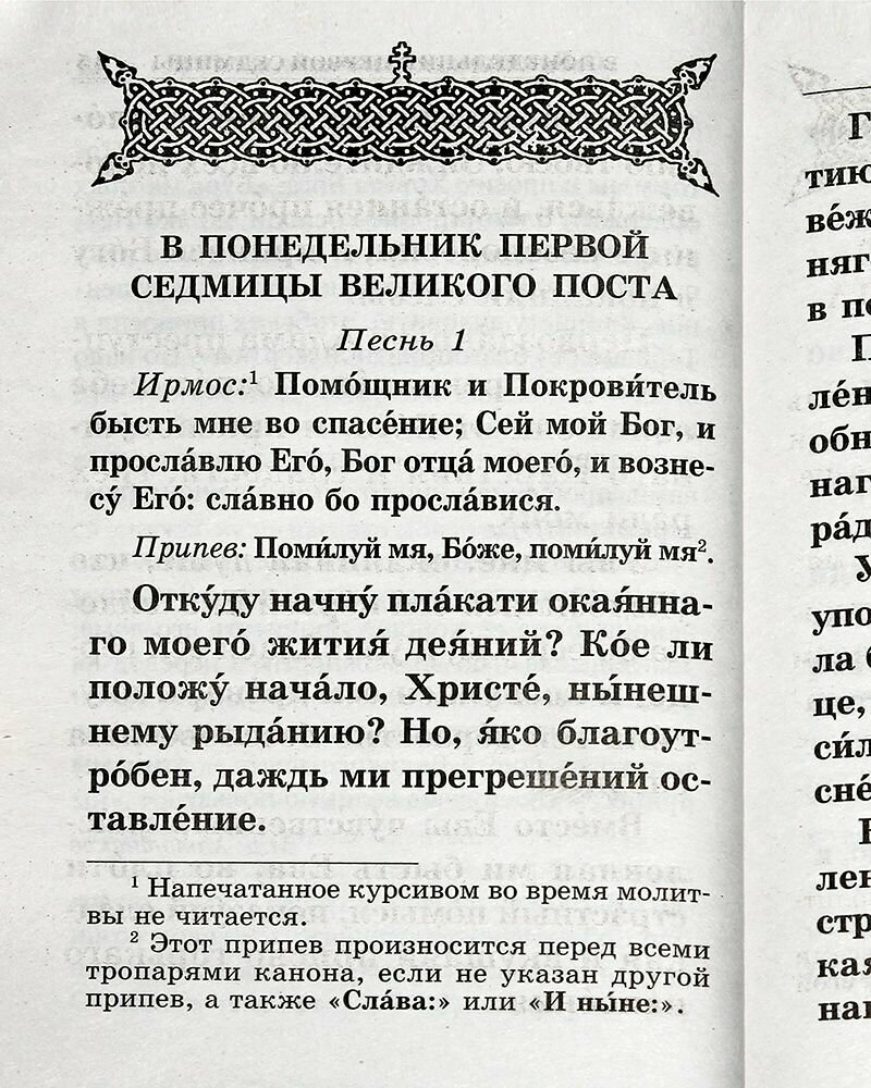 Великий покаянный канон святого Андрея Критского читаемый в Первую и Пятую неделю Великого Поста - фото №7