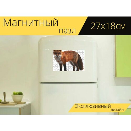 Магнитный пазл Лиса, млекопитающее, дикая природа на холодильник 27 x 18 см.