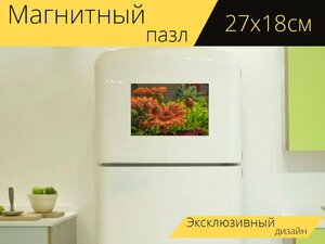 Магнитный пазл "Цветок, цветочная композиция, букет цветов" на холодильник 27 x 18 см.