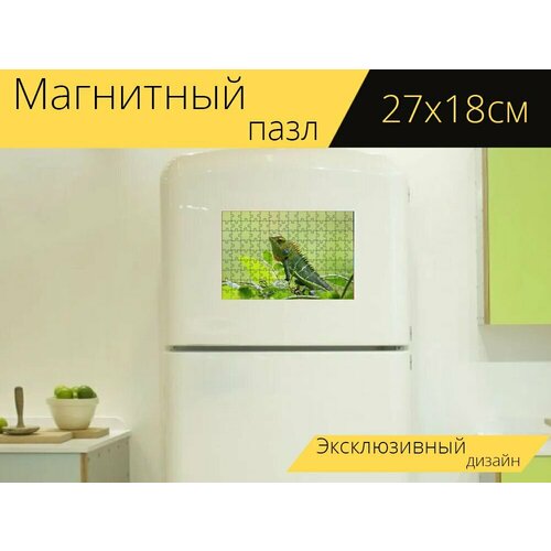 Магнитный пазл Хамелеон, дикий, природа на холодильник 27 x 18 см.