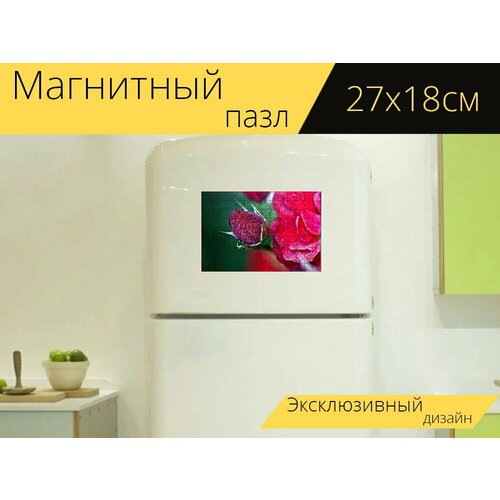 Магнитный пазл Розы, красный, красные розы на холодильник 27 x 18 см. магнитный пазл красные розы валентинка любовь на холодильник 27 x 18 см