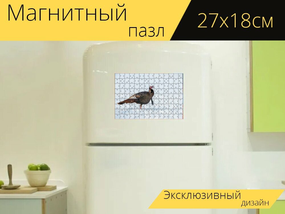 Магнитный пазл "Дикая индейка, дикая природа, птица" на холодильник 27 x 18 см.
