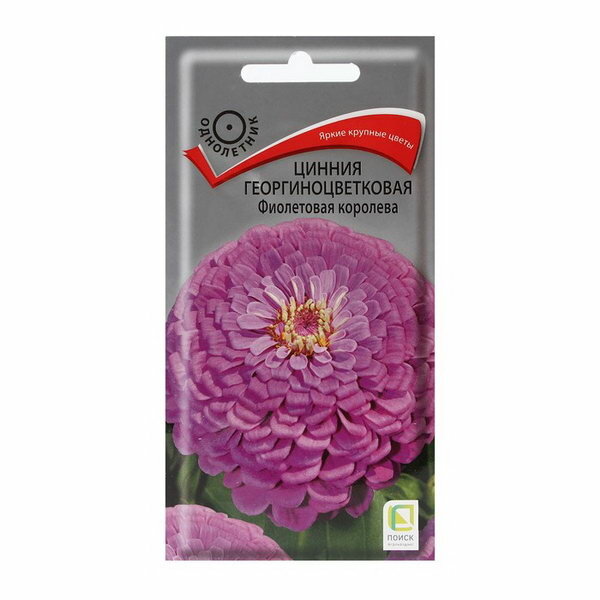 Семена цветов Цинния георгиноцветковая 