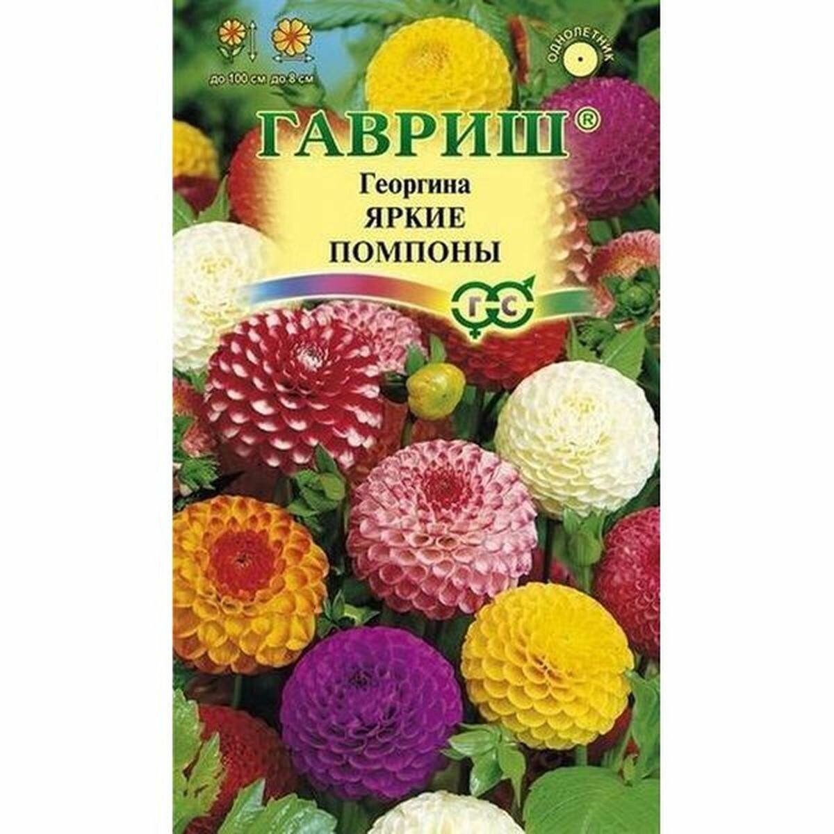 Семена Георгина Яркие помпоны однолетник Гавриш 1 пачка - 0.2г семян
