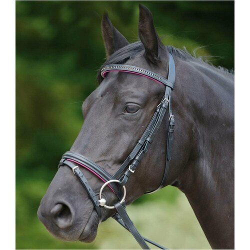 Уздечка для пони DIAMOND COLOR (WALDHAUSEN, Германия)