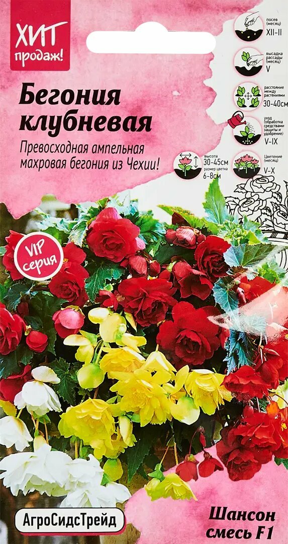 Семена цветов Агросидстрейд бегония клубневая Шансон F1 смесь окрасок