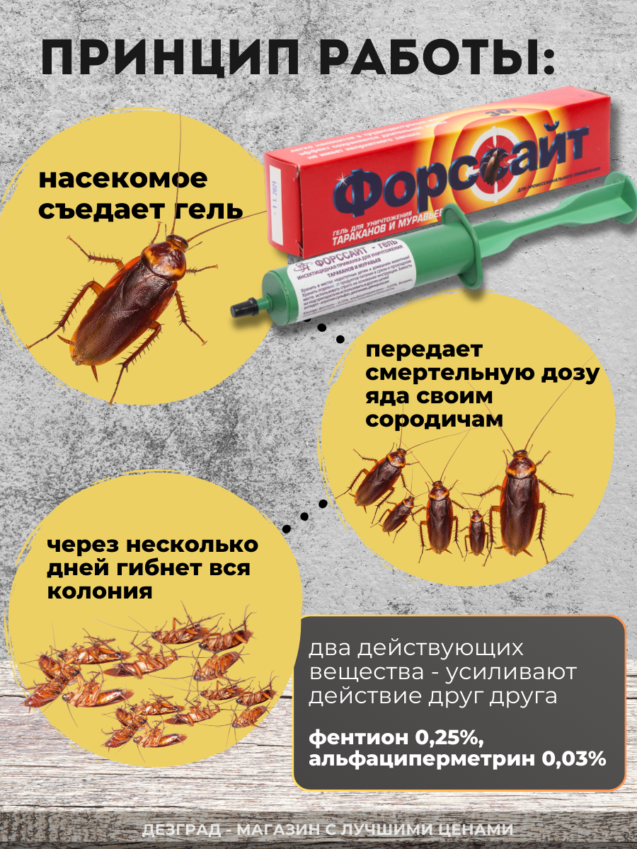 Форссайт шприц - гель от тараканов, от муравьев, гель от тараканов 3 штуки x 30 г — фото 1