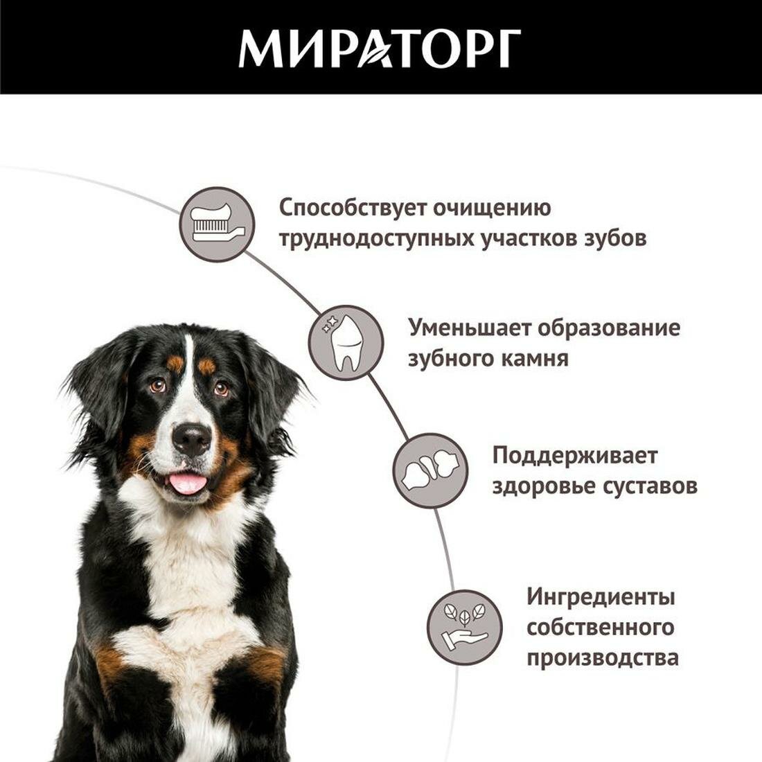 Мираторг жевательное лакомство для взрослых собак крупных пород, c говядиной 170 г — фото 1