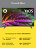 Телевизор Hi VHIX-43F169MSY IPS