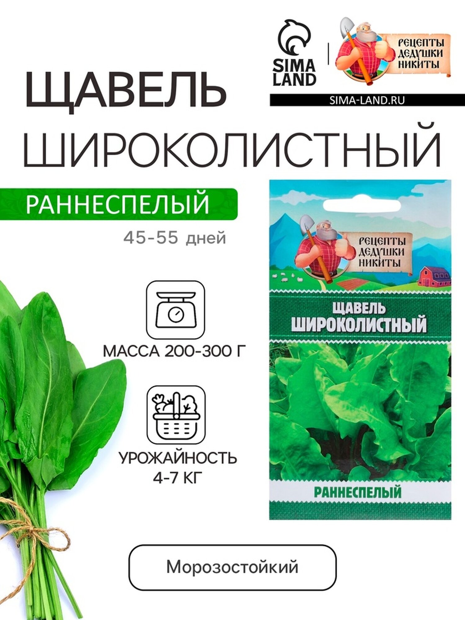 Семена Рецепты дедушки Никиты Щавель "Широколистный" 1 грамм