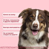 Фото #2 Селафорт капли от блох, клещей и власоедов 120 мг/ 1 мл, для собак массой 10.1 – 20 кг
