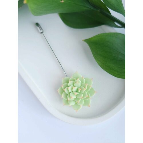 Брошь Дизайнерская брошь Суккулент, зеленый