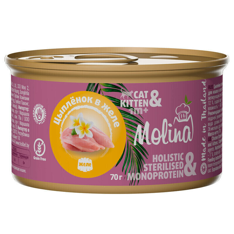 Влажный консервированный корм Molina для котят и кошек, Цыпленок в желе, 70 г, 6шт