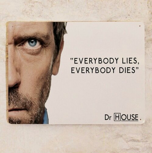 Изображение товара Табличка Доктор Хаус Все врут, Everybody lies, металл, 20х30 см.