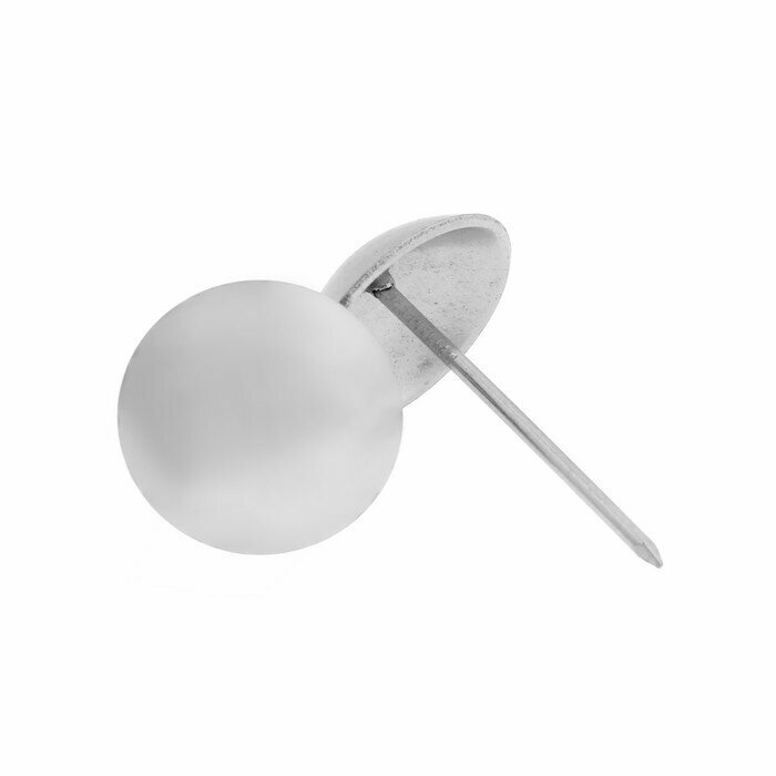 фото Тундра Гвозди декоративные, 25х39 мм, цвет хром, в упаковке 100 шт