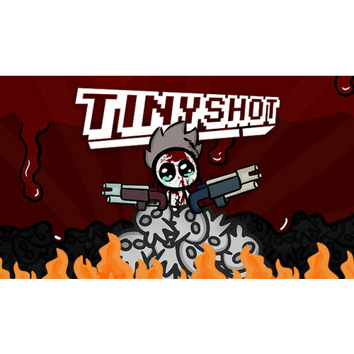 Игра TinyShot для PC (STEAM) (электронная версия)