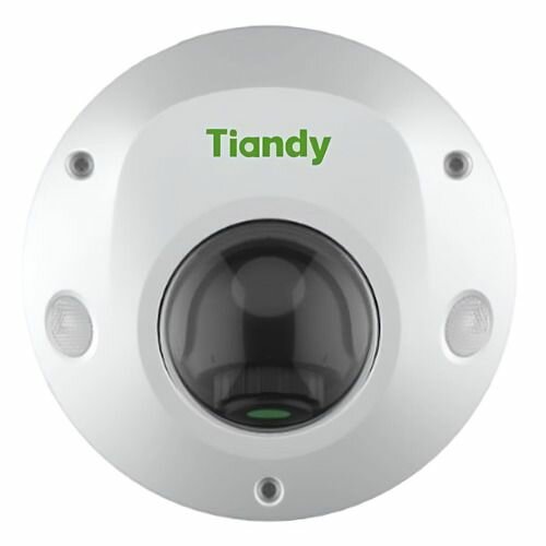 Камера видеонаблюдения IP TIANDY Pro TC-C35PS I3/E/Y/M/H/2.8mm/V4.2, 1620p, 2.8 мм, белый [tc-c35ps i3/e/y/m/h/2.8/v4.2]