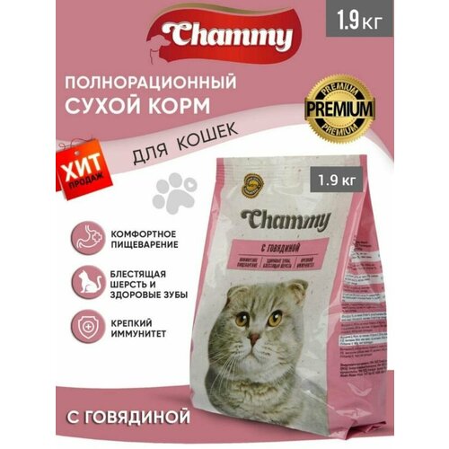 Сухой Корм "CHAMMY" для кошек с говядиной 1,9 кг. 3 шт.