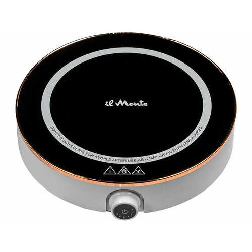 Плита il Monte TH-101-IH 607500₽