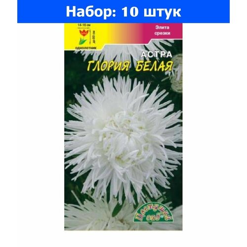 Астра Глория Белая хризантемовидная 0,2г Одн 80см (Цвет сад) - 10 пачек семян