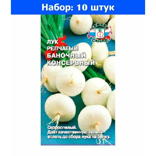 Лук репч. Баночный консервный 0,5г Ранн (Седек) - 10 пачек семян