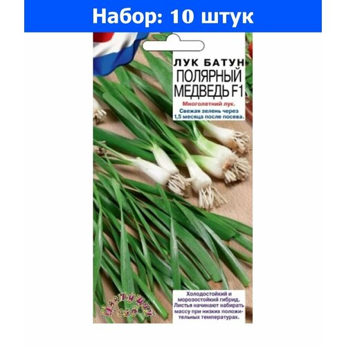 Лук батун Полярный медведь F1 0,5г Ранн (Цвет сад) - 10 пачек семян