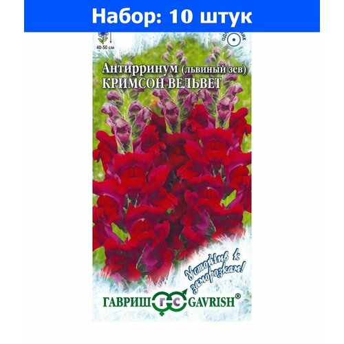 Антирринум (Львиный зев) Кримсон Вельвет 0,05г Одн 50см (Гавриш) Устойчив к заморозкам - 10 пачек семян хризантема дунетти махровая 0 5г одн 90см гавриш устойчив к заморозкам 10 пачек семян