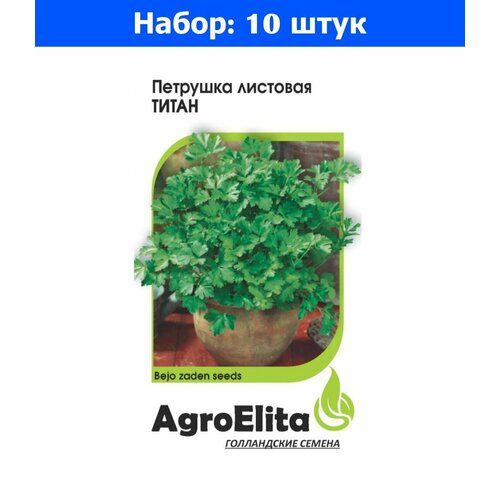 Петрушка Титан листовая 1,0 г Бейо (АгроЭлита) Голландия - 10 пачек семян морковь базель f1 0 3 г ср бейо н20 агроэлита голландия 10 пачек семян